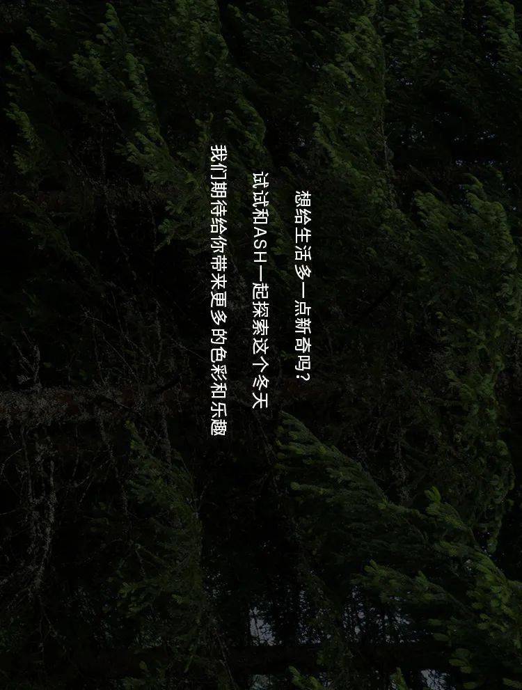 关于游戏的前言_手机游戏前言介绍_前言介绍手机游戏的话术