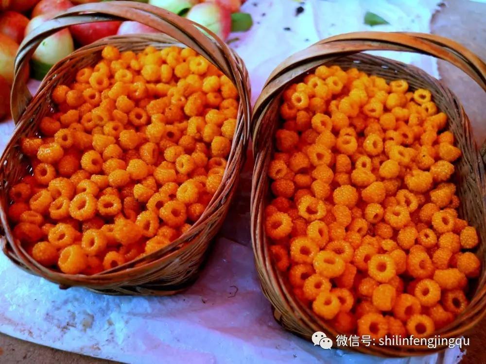 狐狸钱包中文_狐狸钱包ios_小狐狸钱包官网版下载地址