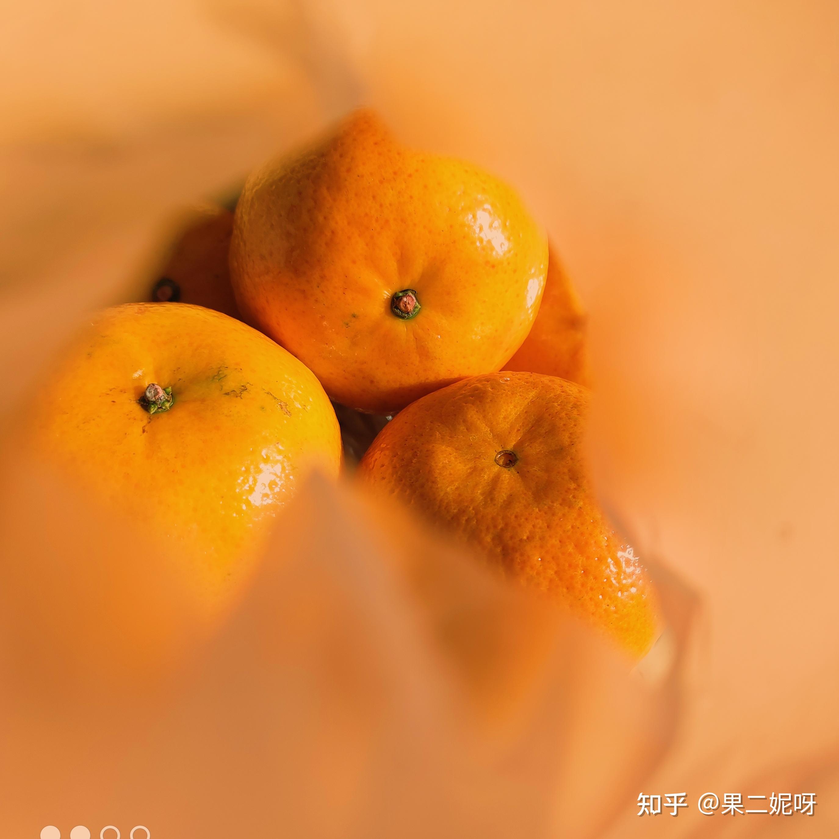 郑州手机摄影培训_郑州游戏手机摄影_郑州摄影图片