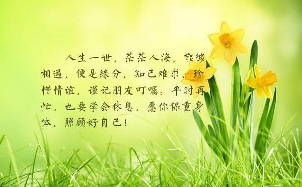 忍者战士飞影_飞影铠甲_飞影
