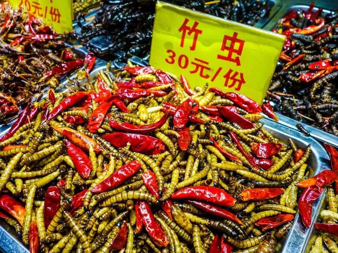 人物变形软件_解说人物变形手机游戏大全_手机游戏解说人物变形