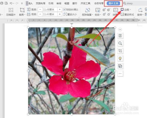 word显示开发工具_word开发工具怎么调出来_word如何把开发工具调出来
