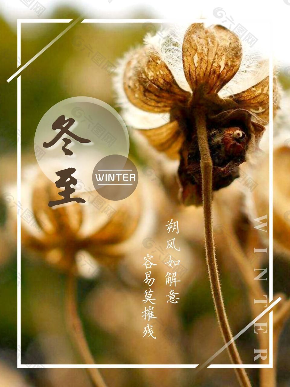 节气冷暖_最冷的节气_节气冷知识