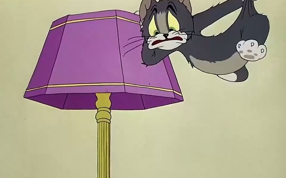 头像猫咪可爱图片大全_头像猫咪图片可爱_头像猫咪可爱图片呆萌