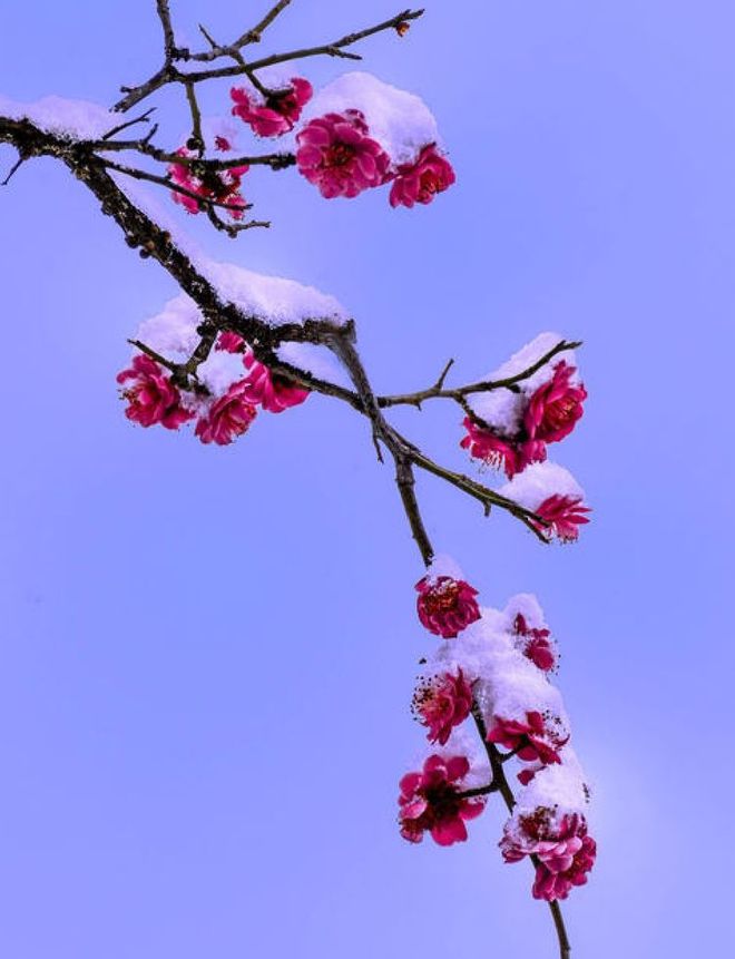 梅晓郡和梅晓夏_梅莉亚_梅晓郡梅晓夏