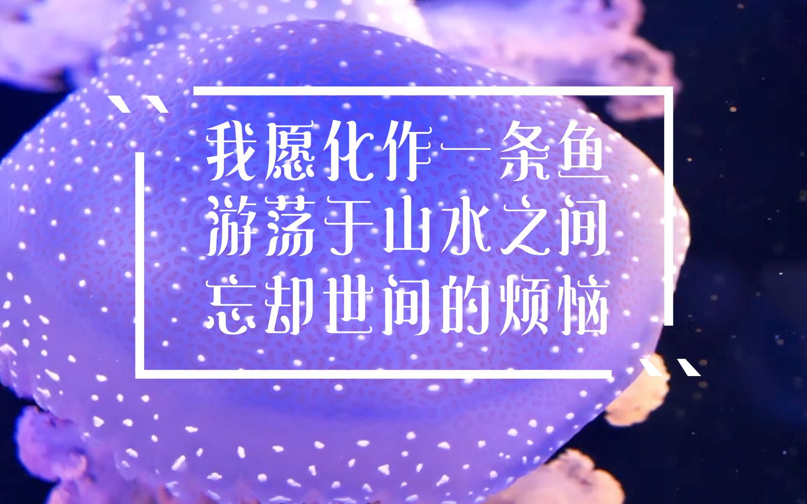 手机丧失类游戏_策略类手机网页游戏_好玩的手机解密类游戏
