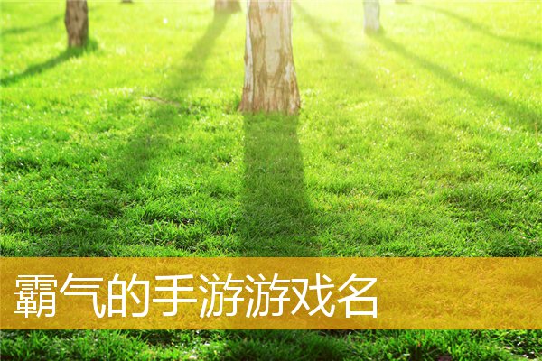 手机游戏取名空格_取名空格手机游戏怎么弄_取名空格手机游戏软件