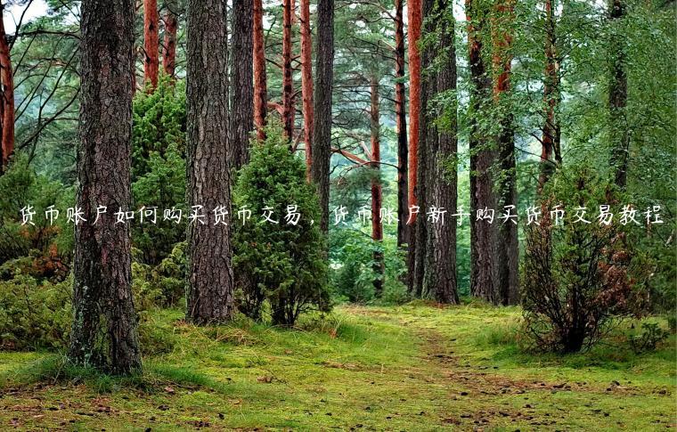 换手机了如何找回微信聊天记录_换手机微信聊天记录怎么转移_imtoken 换手机