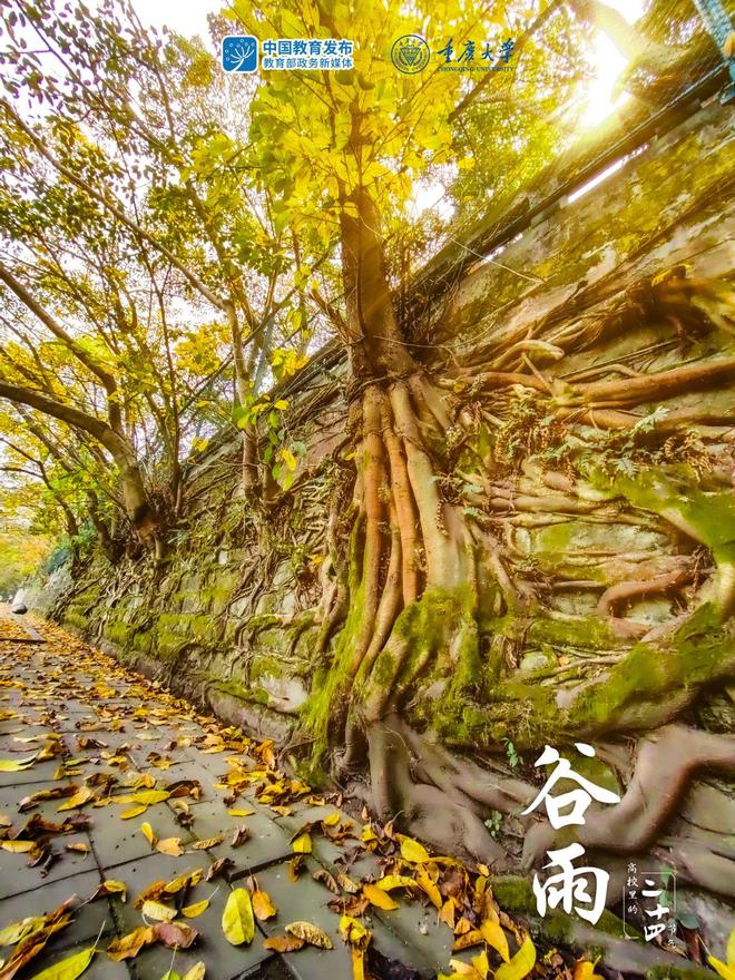 谷雨手机游戏官网_手机游戏谷雨_谷雨手机游戏怎么玩