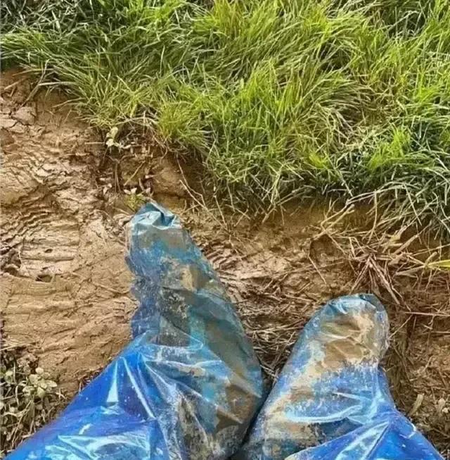身份证办理查询进度平台_进度证查询办理身份平台官网_进度证查询办理身份平台有哪些