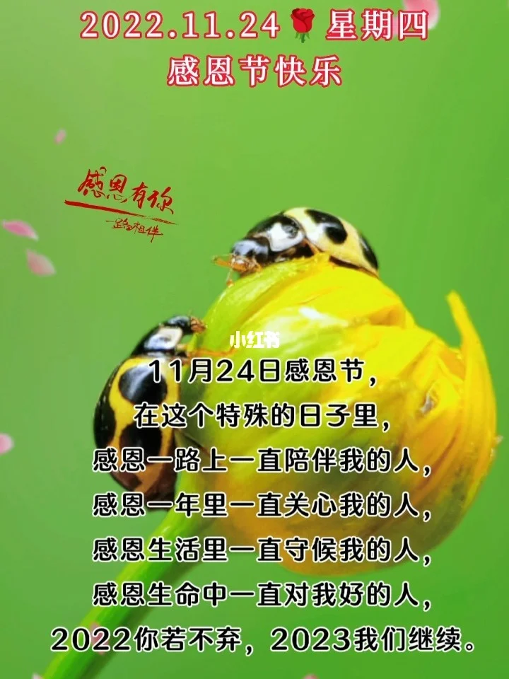 感恩节_感恩节是哪一天_感恩节讲章