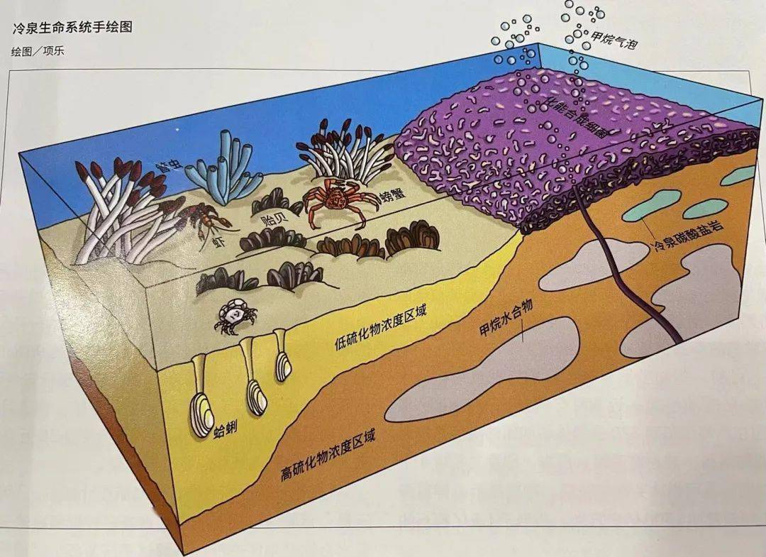 海贼王鱼人岛对战十万人_海贼王鱼人岛国王叫什么_海贼王鱼人岛