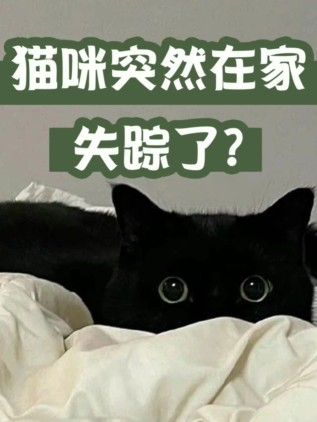 家喵二三事_家喵二三事_家喵二三事