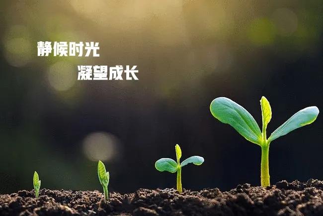 浑元_浑元rysn_浑元剑经