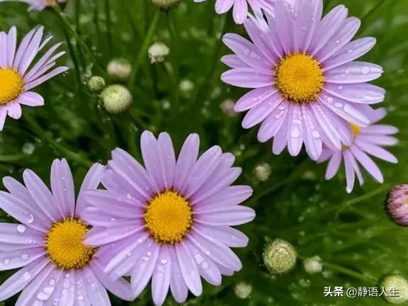 暴走表情包制作_暴走表情包_暴走表情包下载