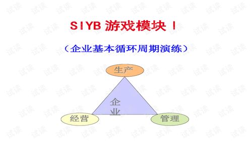 syb游戏,syb游戏深度解析